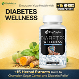 Diabetes Wellness Capsules for Blood Sugar Support, Insulin Balance & Herbal Diabetic Care